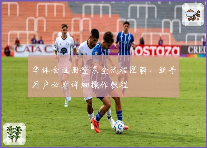 华体会注册登录全流程图解，新手用户必看详细操作教程